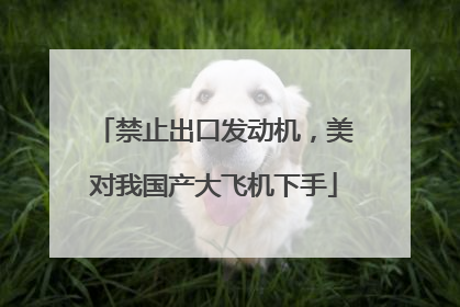 禁止出口发动机，美对我国产大飞机下手